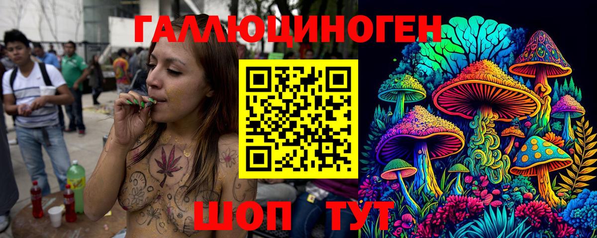 Псилоцибиновые грибы GOLDEN TEACHER  Вход с VPN  Галлюциногенные грибы Magic Shrooms  Мурино 