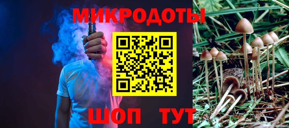 Псилоцибиновые грибы мицелий Мурино